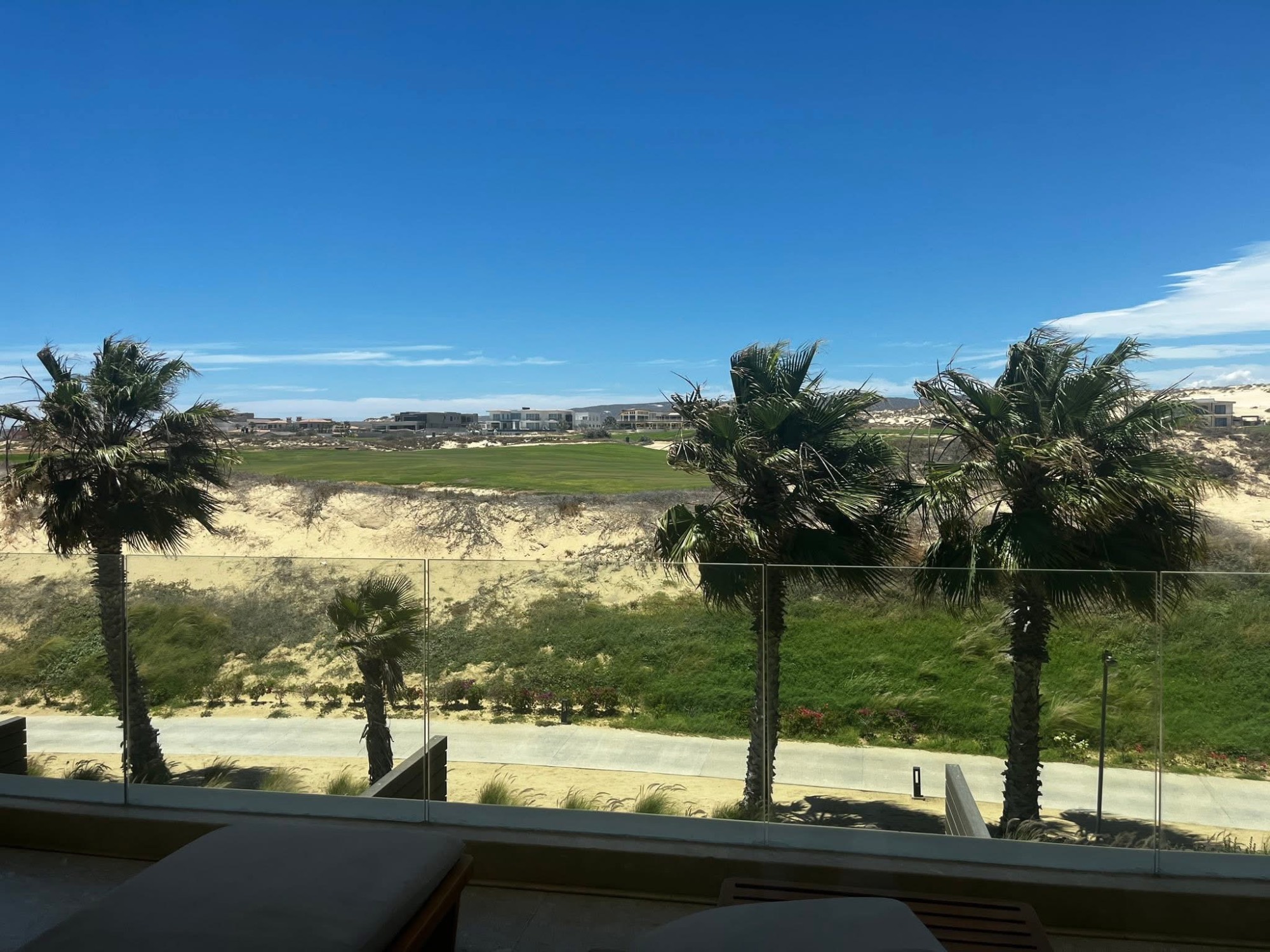 View through large circular arch of palm trees overlooking green valley and distant buildings