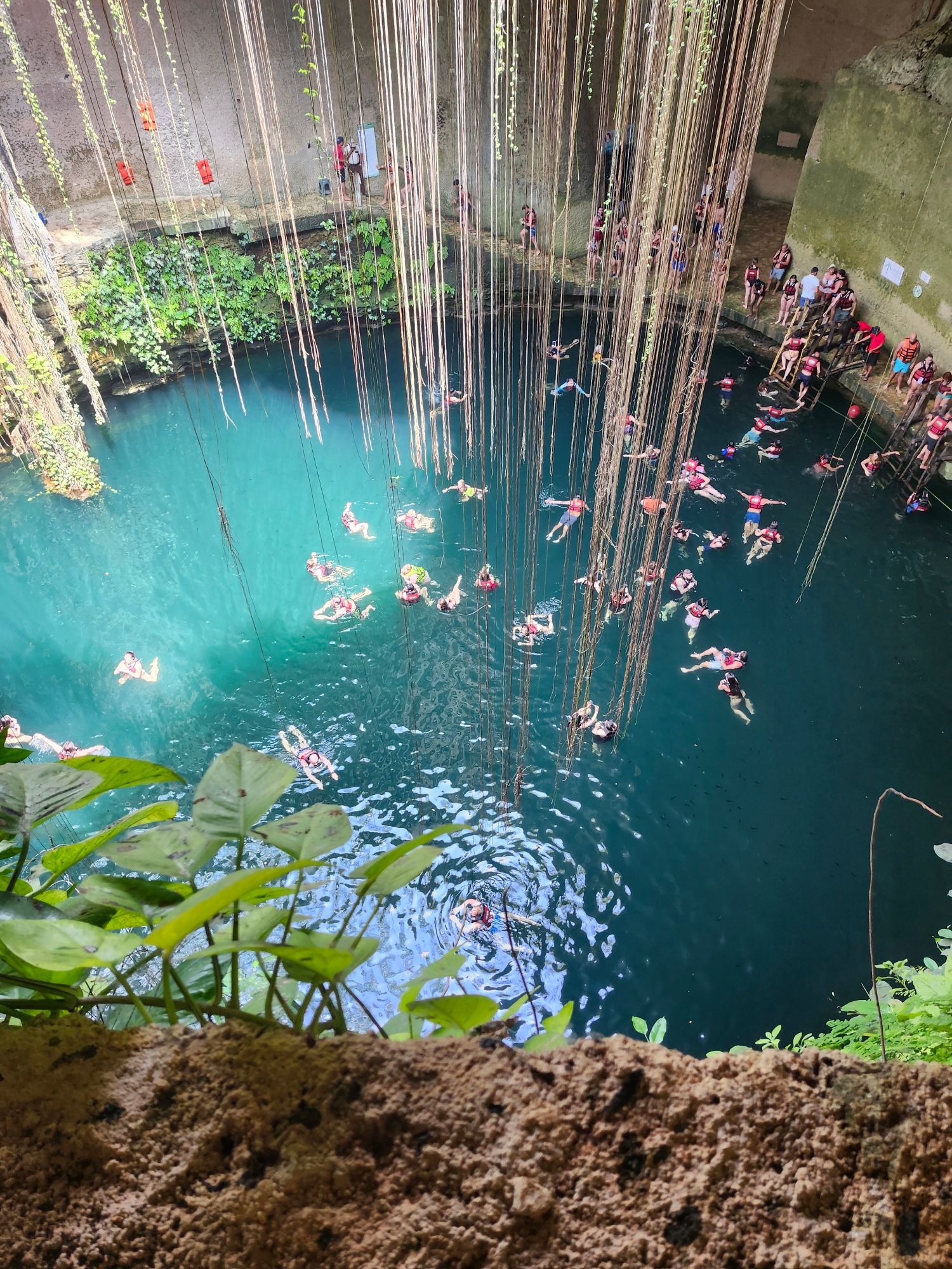 Cenote with turquoise water surrounded by hanging vines and limestone cave walls, swimmers below