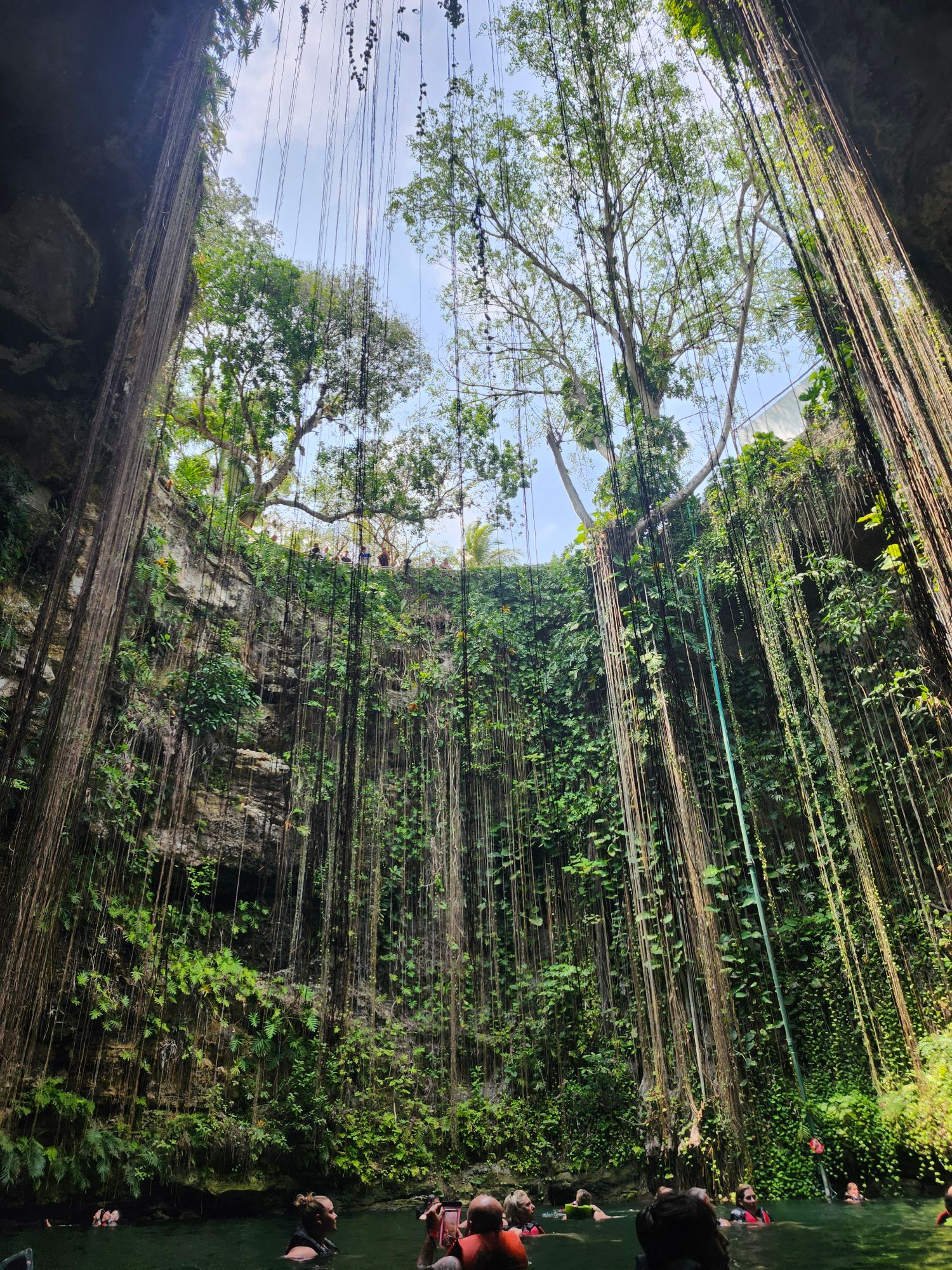 Lush underground cenote with cascading vines from cave ceiling and visitors swimming in emerald pool