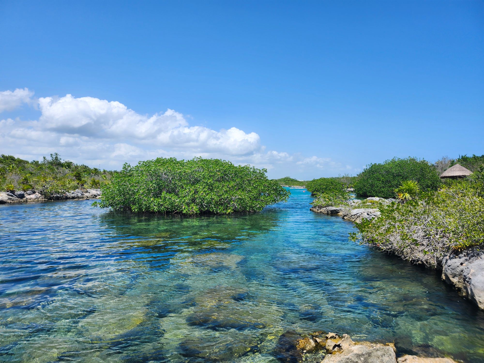 Mangrove lagoon with turquoise water channel and dense green vegetation along shoreline