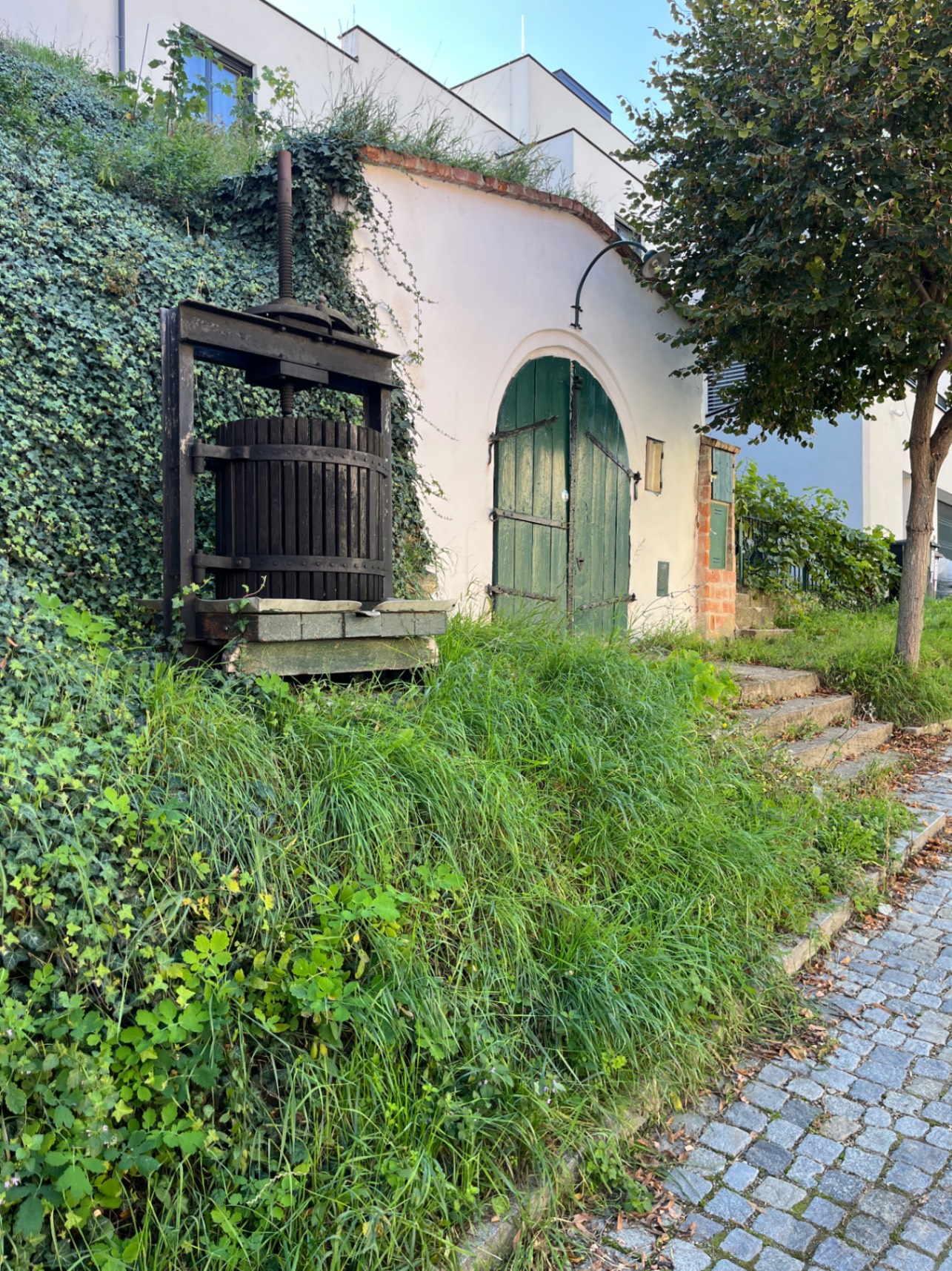Austria — Elke Baumgartner's travel story