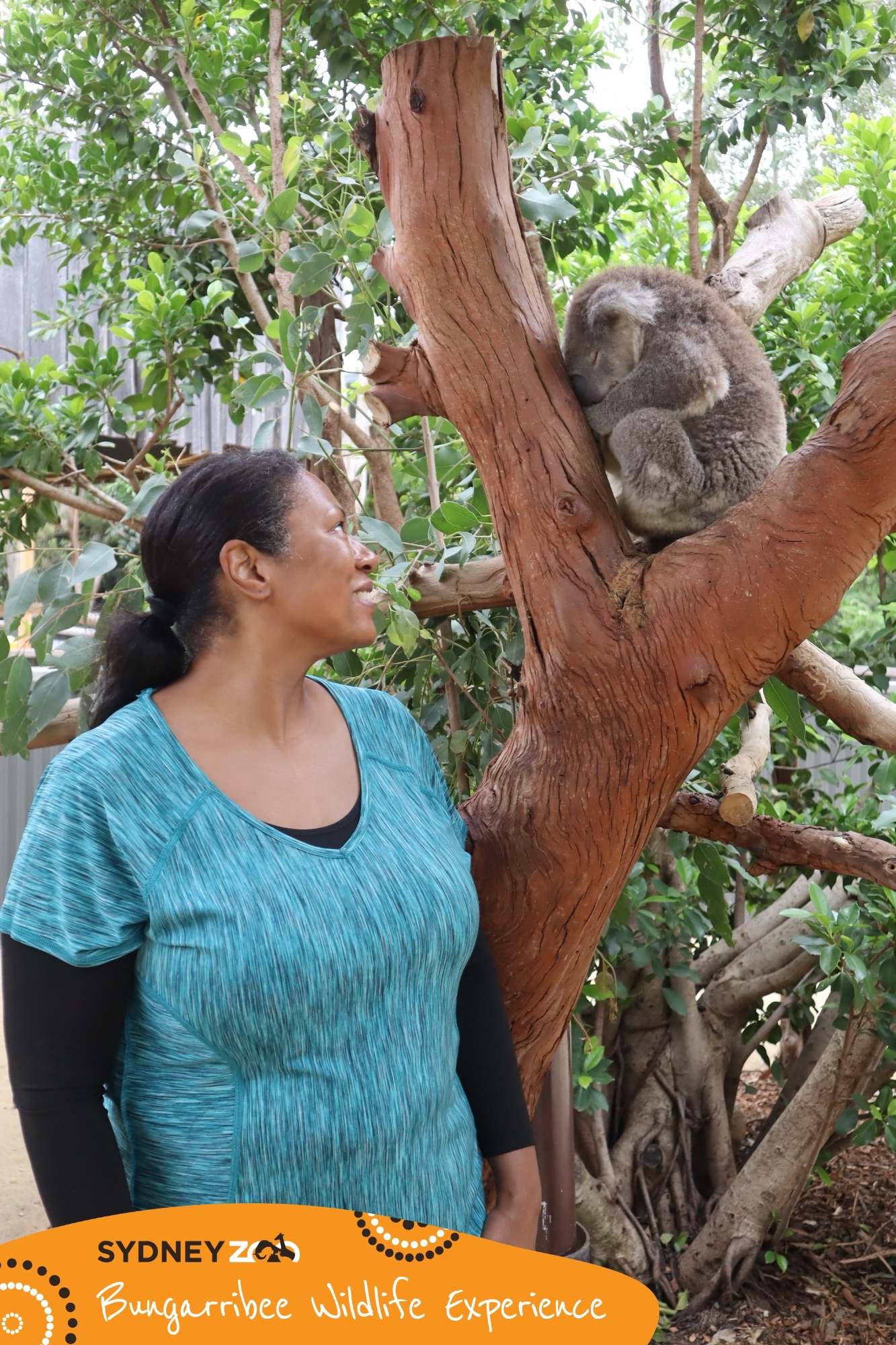 New Zealand — Joyce Britton's travel story