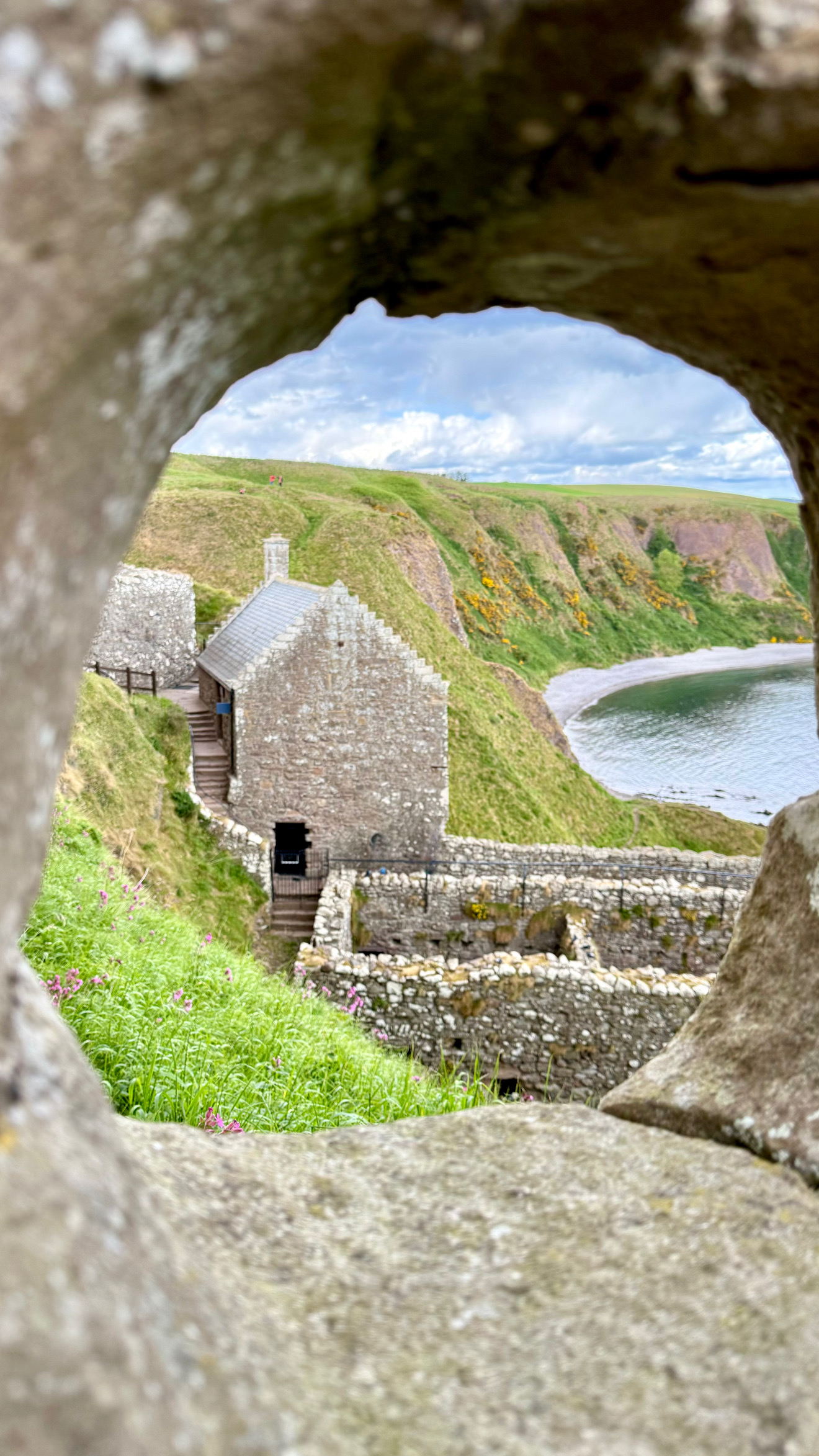 Stone archway framing a coastal cottage and bay with green cliffs and wildflowers in foreground