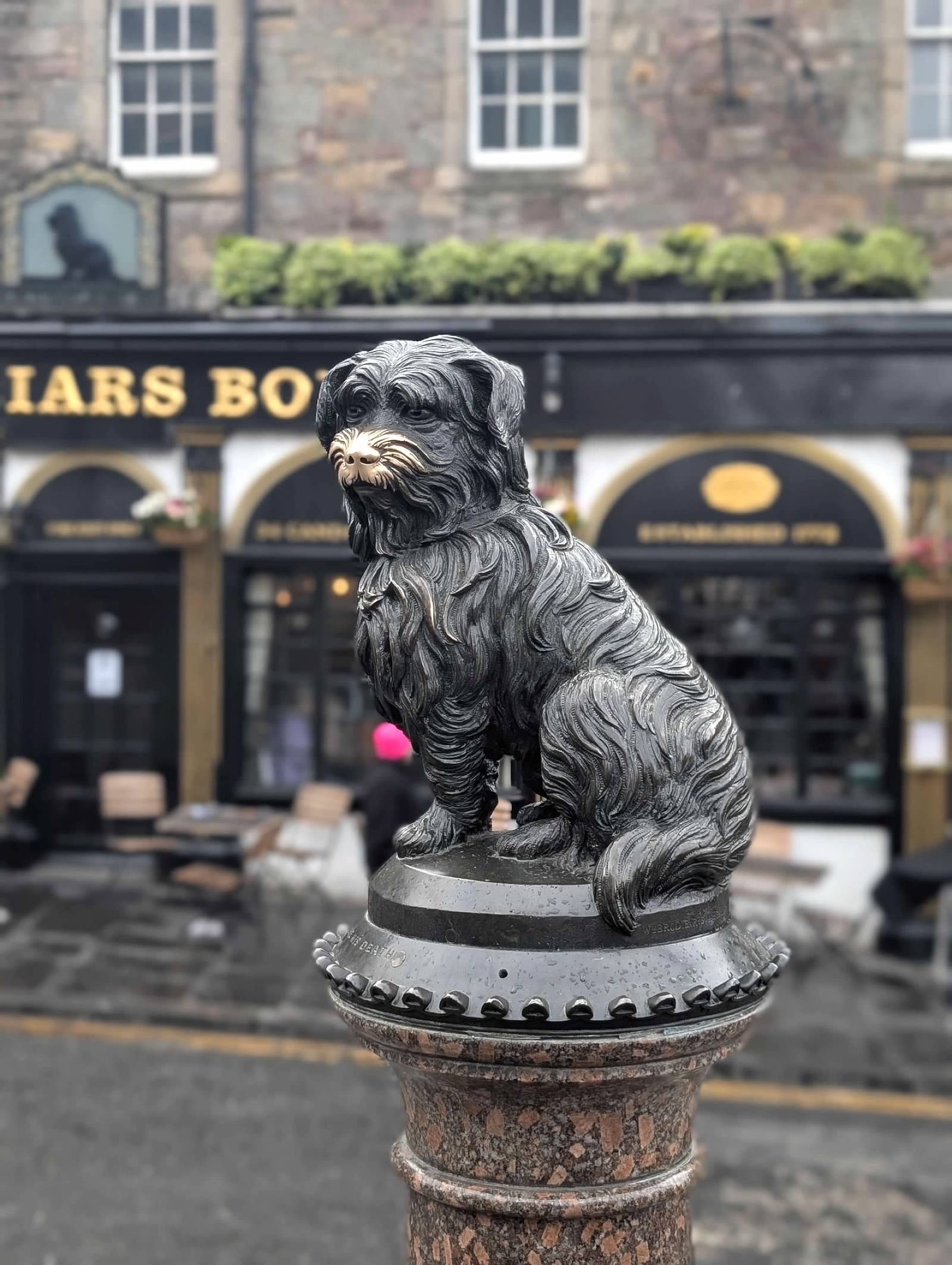 Black terrier statue on a pedestal in front of a storefront with gold lettering on dark background