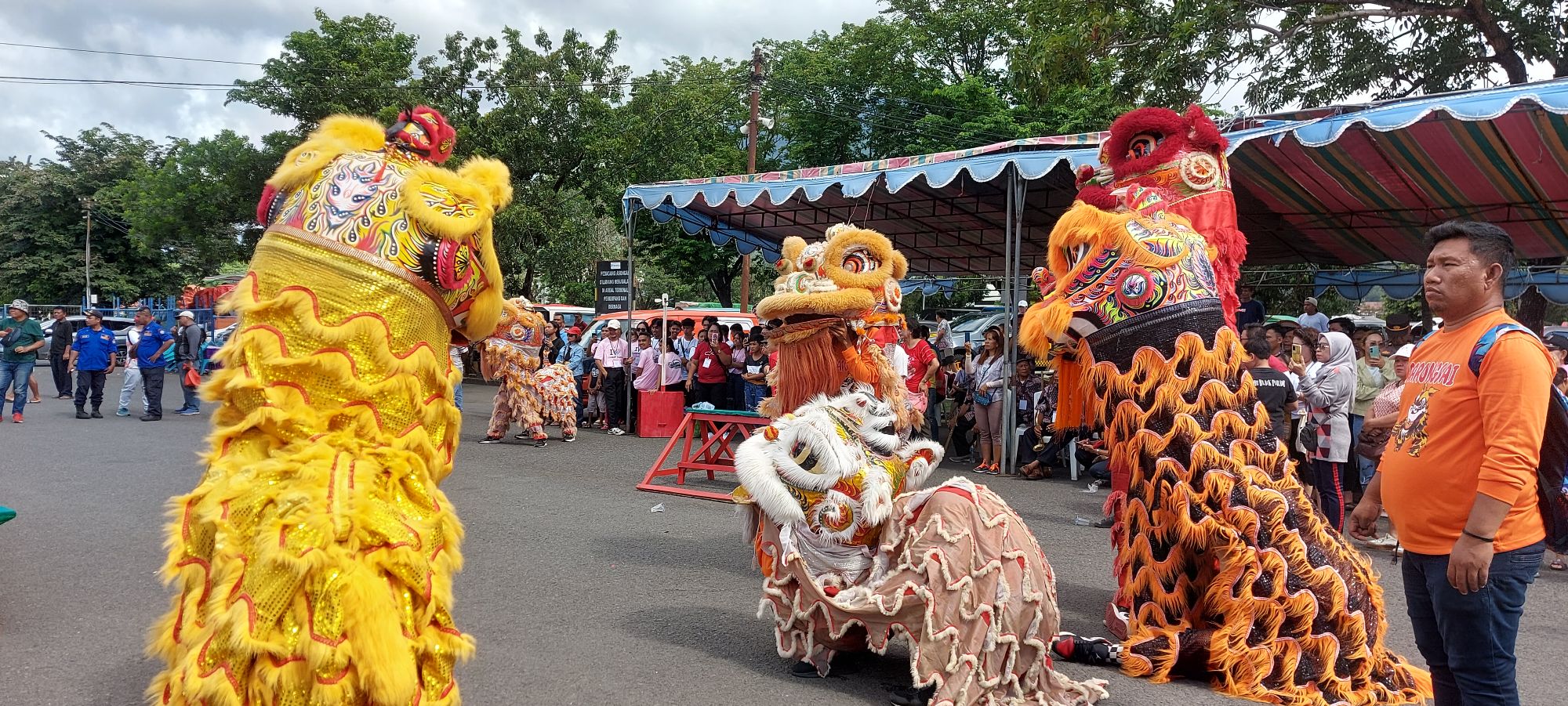Lion dance performers in vibrant yellow and red costumes performing at outdoor festival with crowds watching