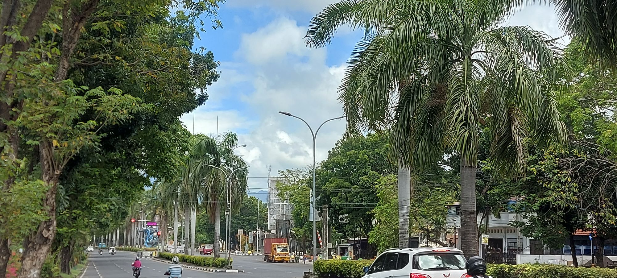 Tree-lined avenue in Bitung with palm trees, street lamps, and buildings visible in tropical setting