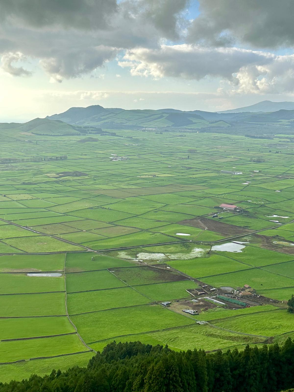 Lesa Nelson Went to the Azores Not Knowing Much. Now She Can't Stop Recommending It.
