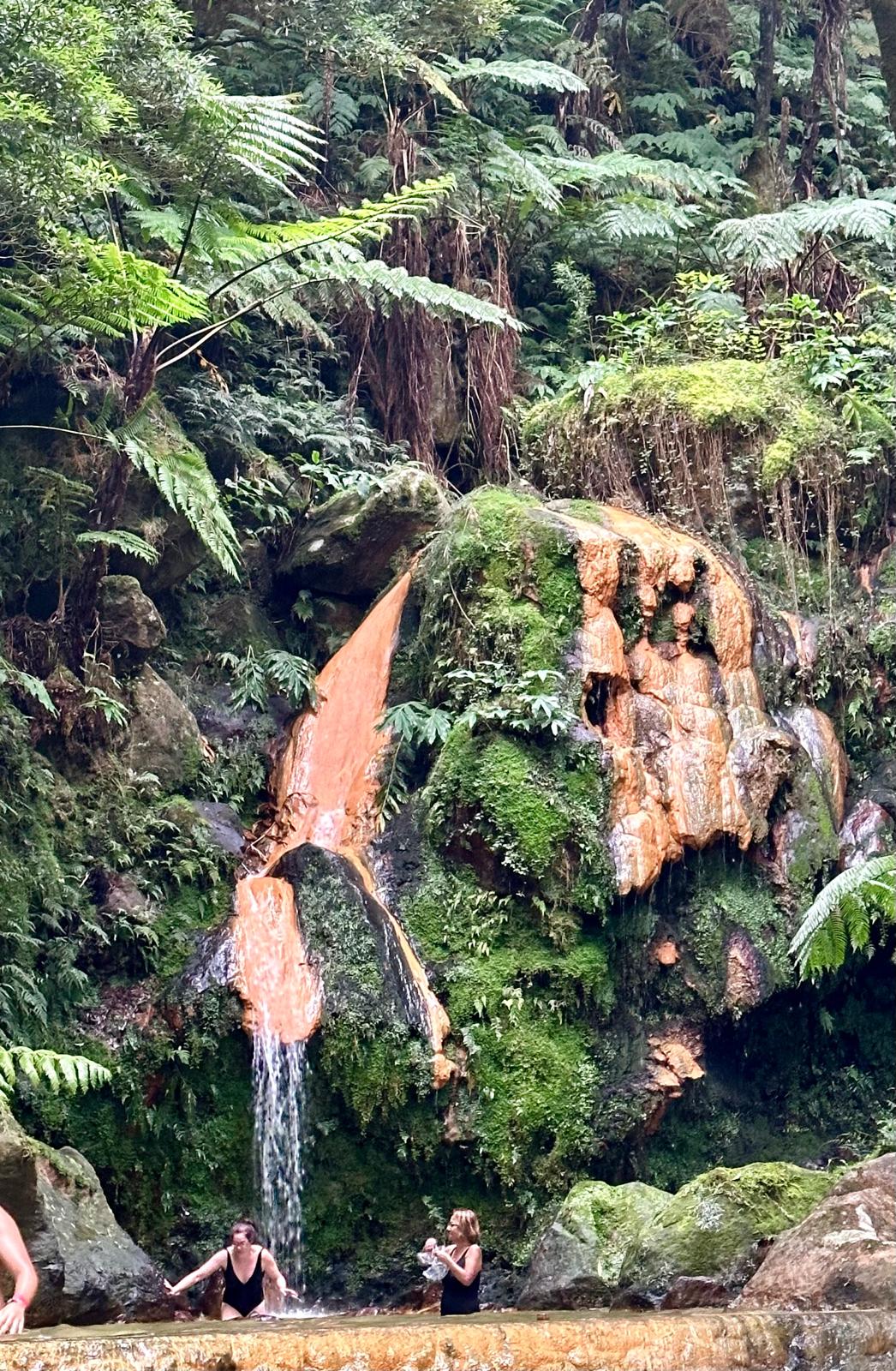 Lush forest waterfall cascading over moss-covered rocks with ferns and tall trees surrounding the pool