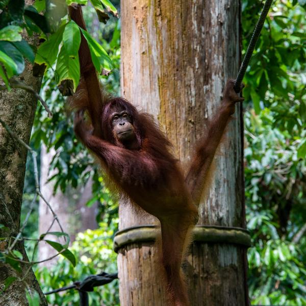Malaysia