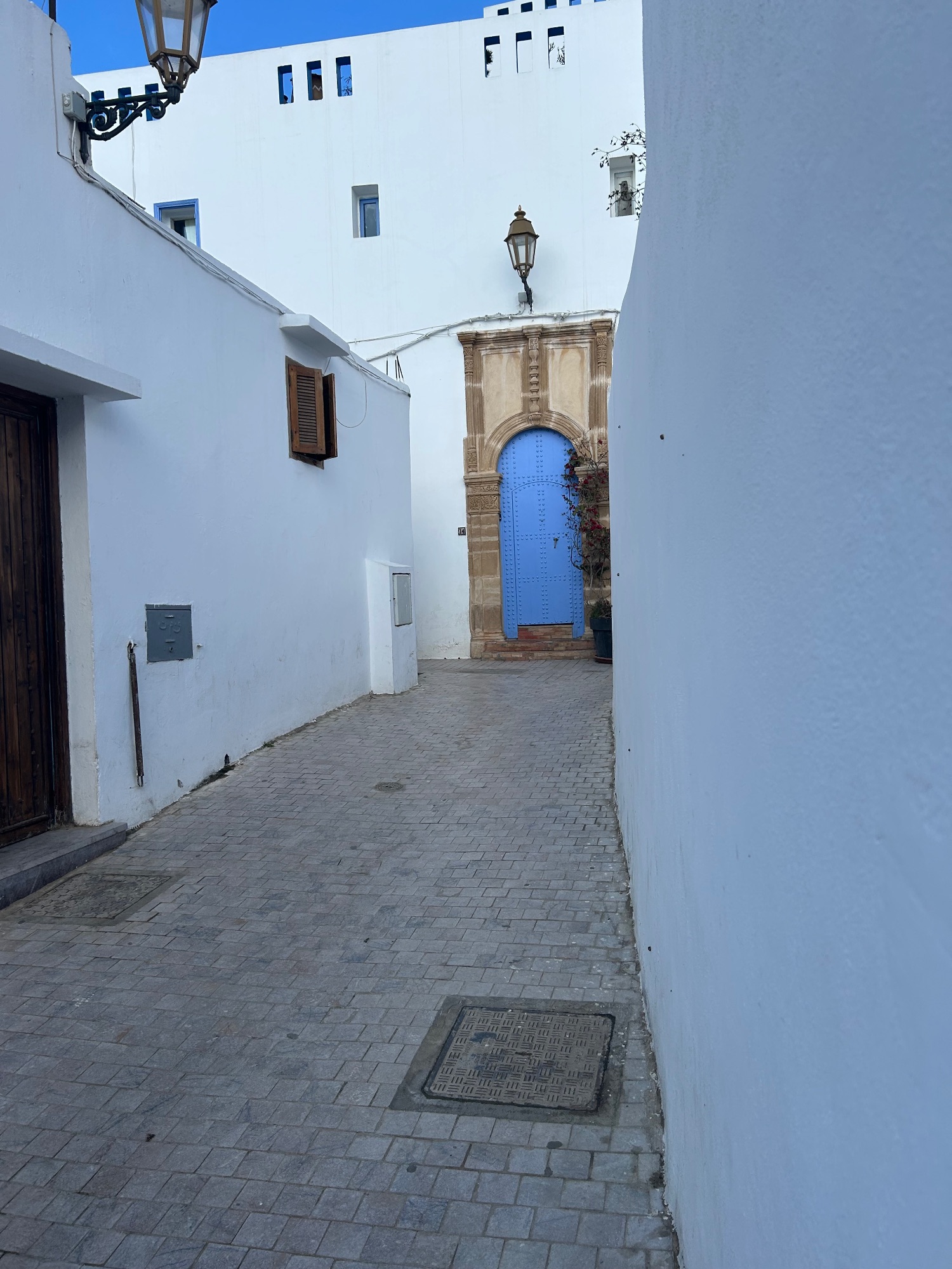 Fortified city walls of Essaouira with crenellated towers, palm trees, and green grass in foreground