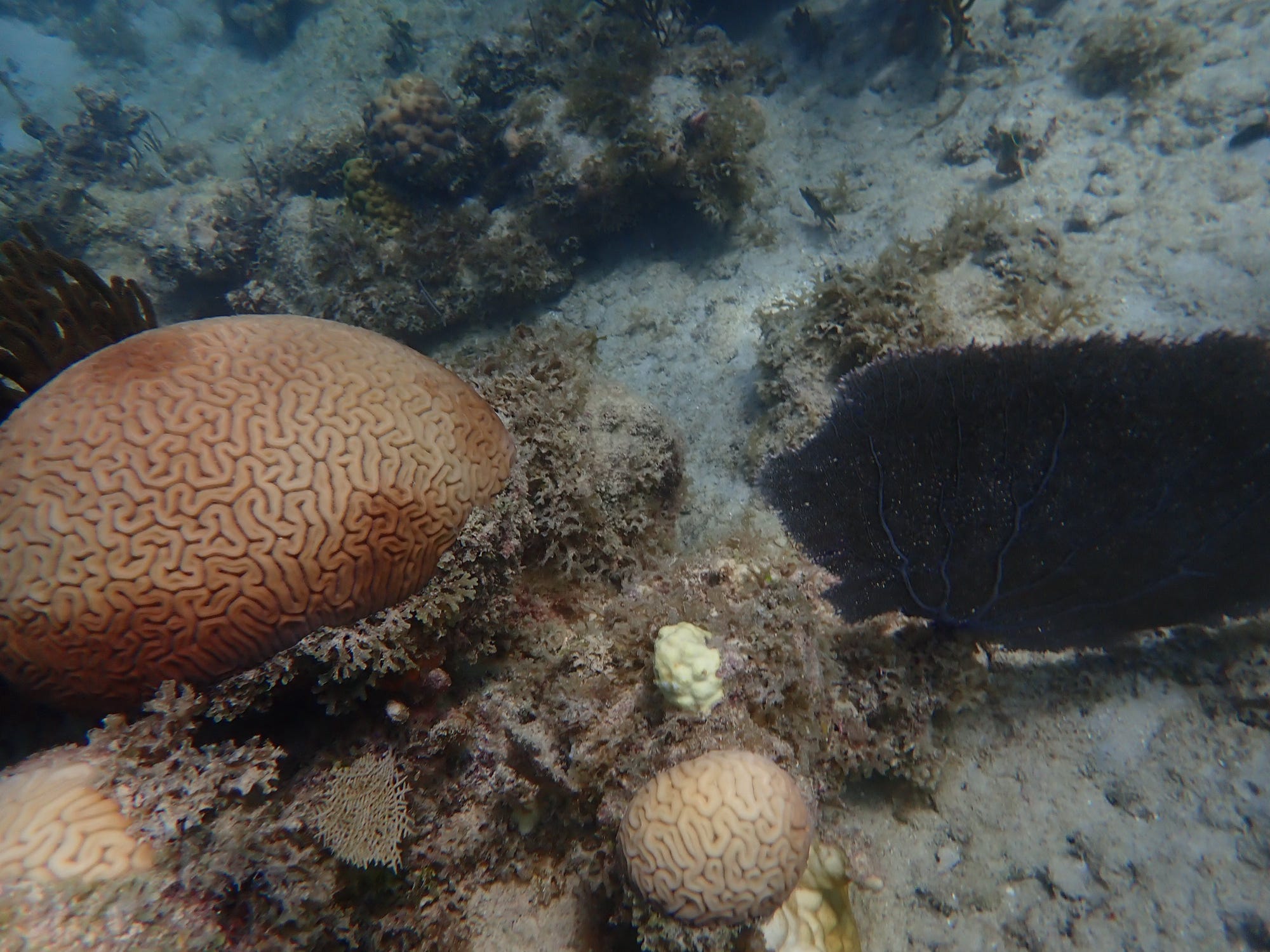 U.S. Virgin Islands — Amanda Swan's travel story