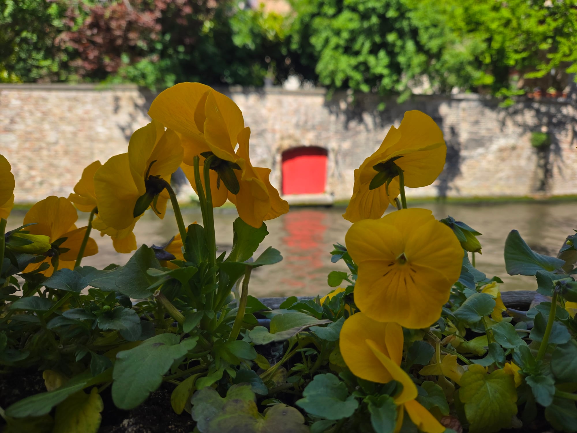 Netherlands — Heather O'Connell's travel story