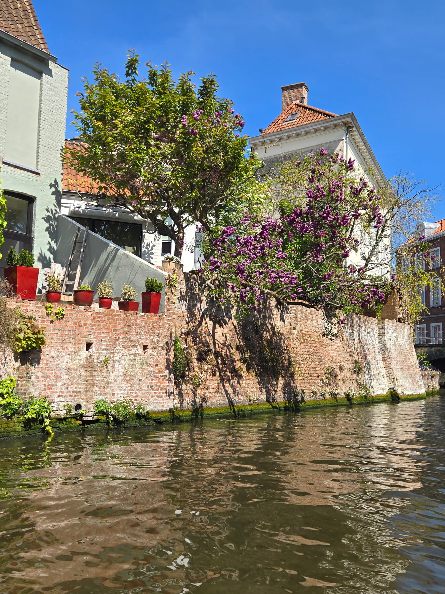 Netherlands — Heather O'Connell's travel story
