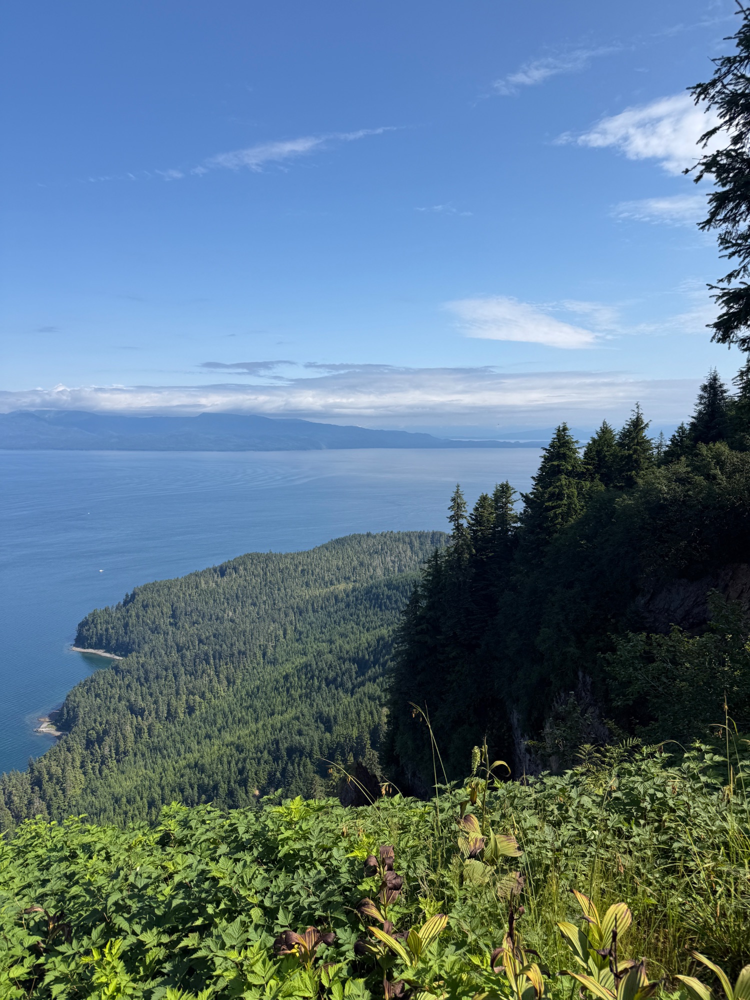 United States — Marcia White's travel story