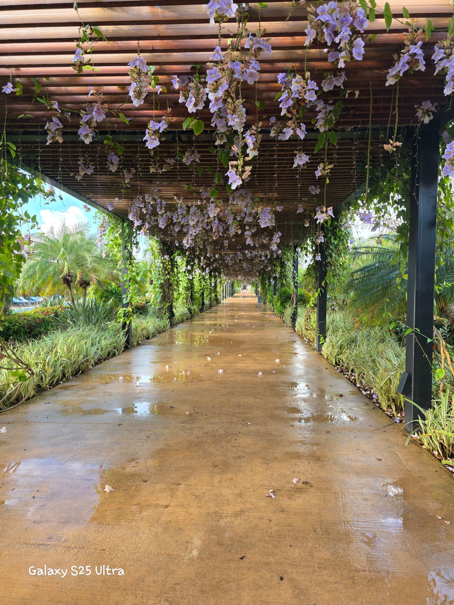 Dominican Republic — Trisha Danyliw's travel story