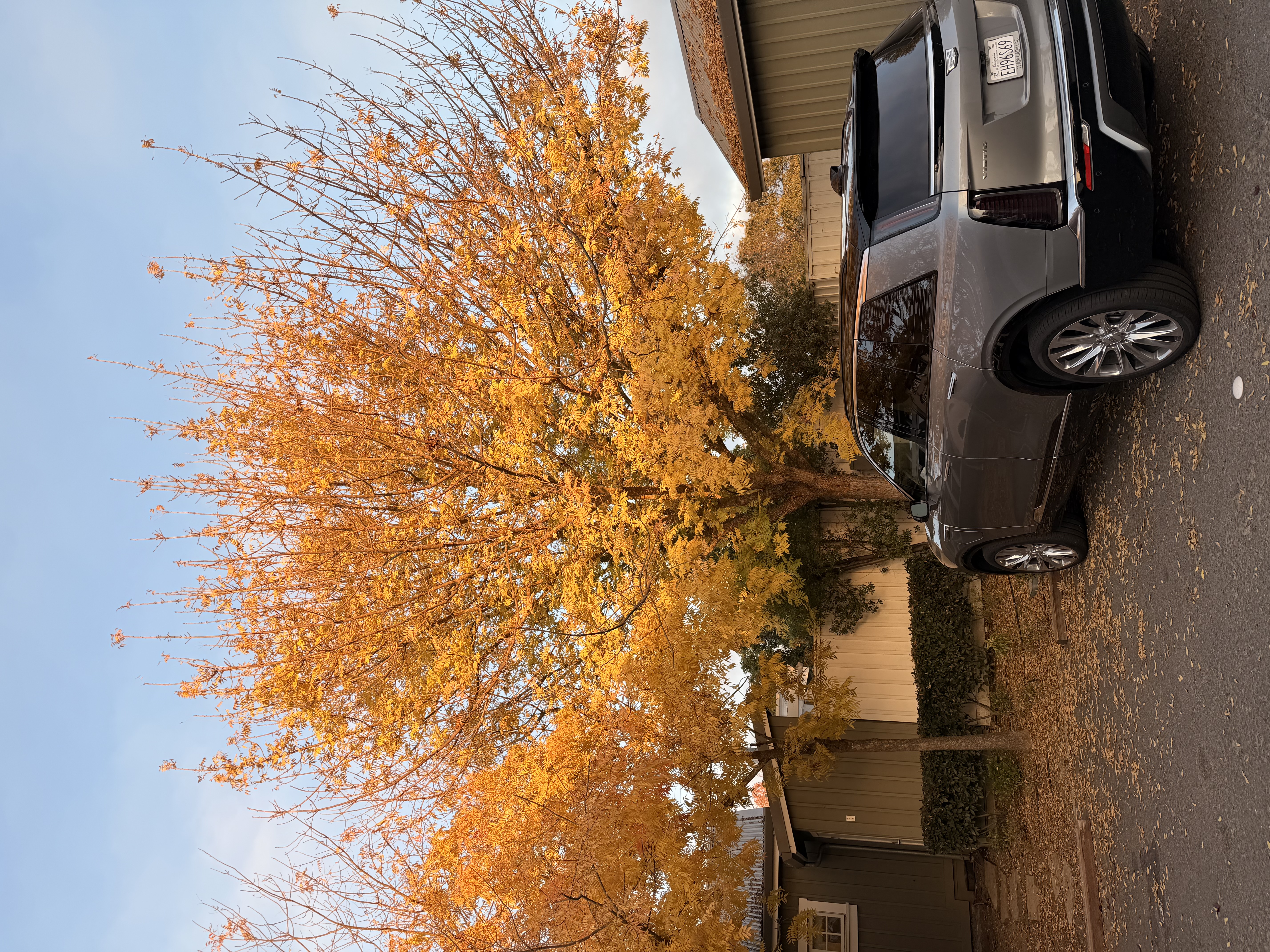 United States — Joyce Britton's travel story