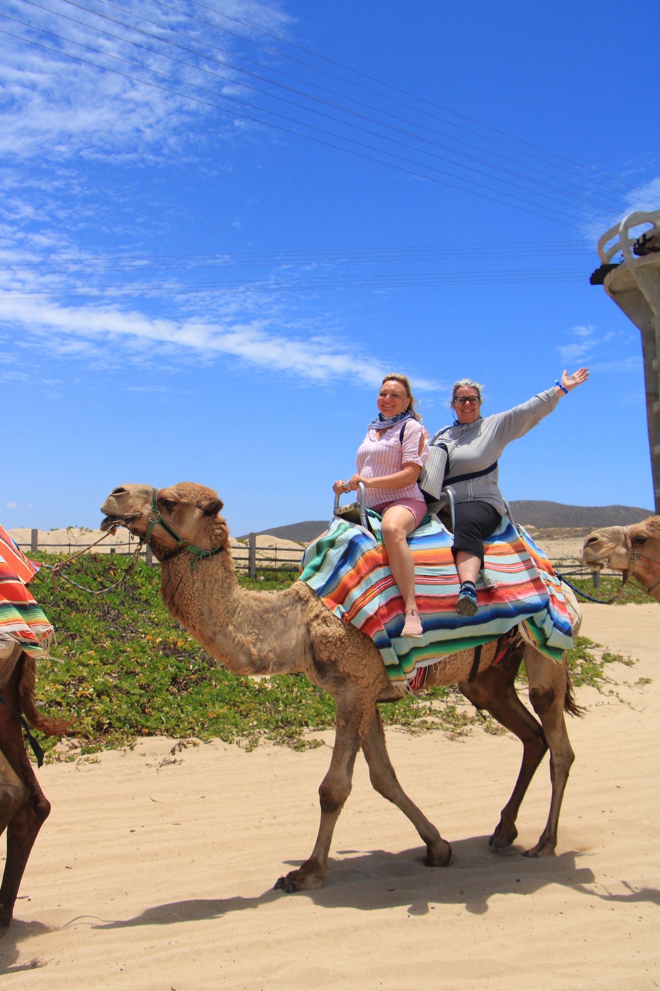 Two people riding a camel on a beach in Los Cabos, one waving toward the camera with desert hills in background