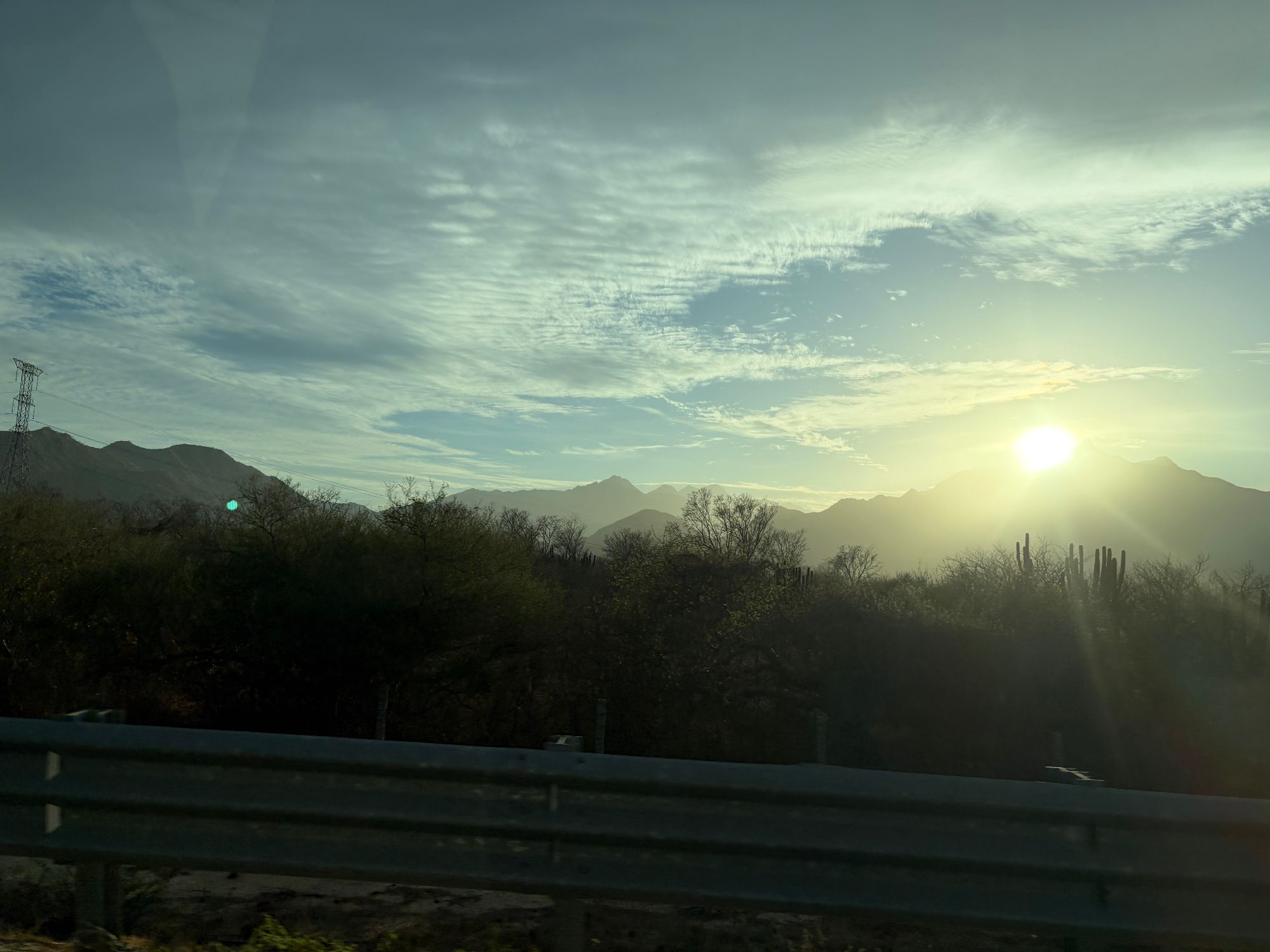Desert sunrise over mountains and saguaro cacti with hazy atmospheric light and silhouetted vegetation