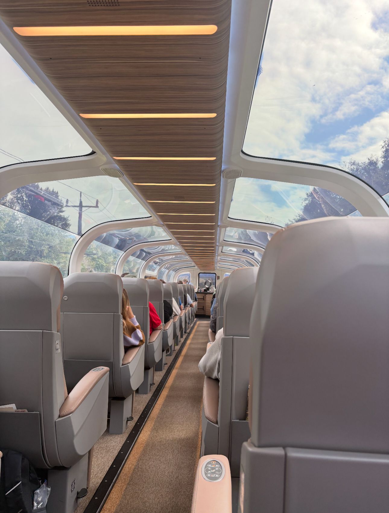 Interior view down the aisle of a modern passenger train car with curved glass ceiling and mountain scenery