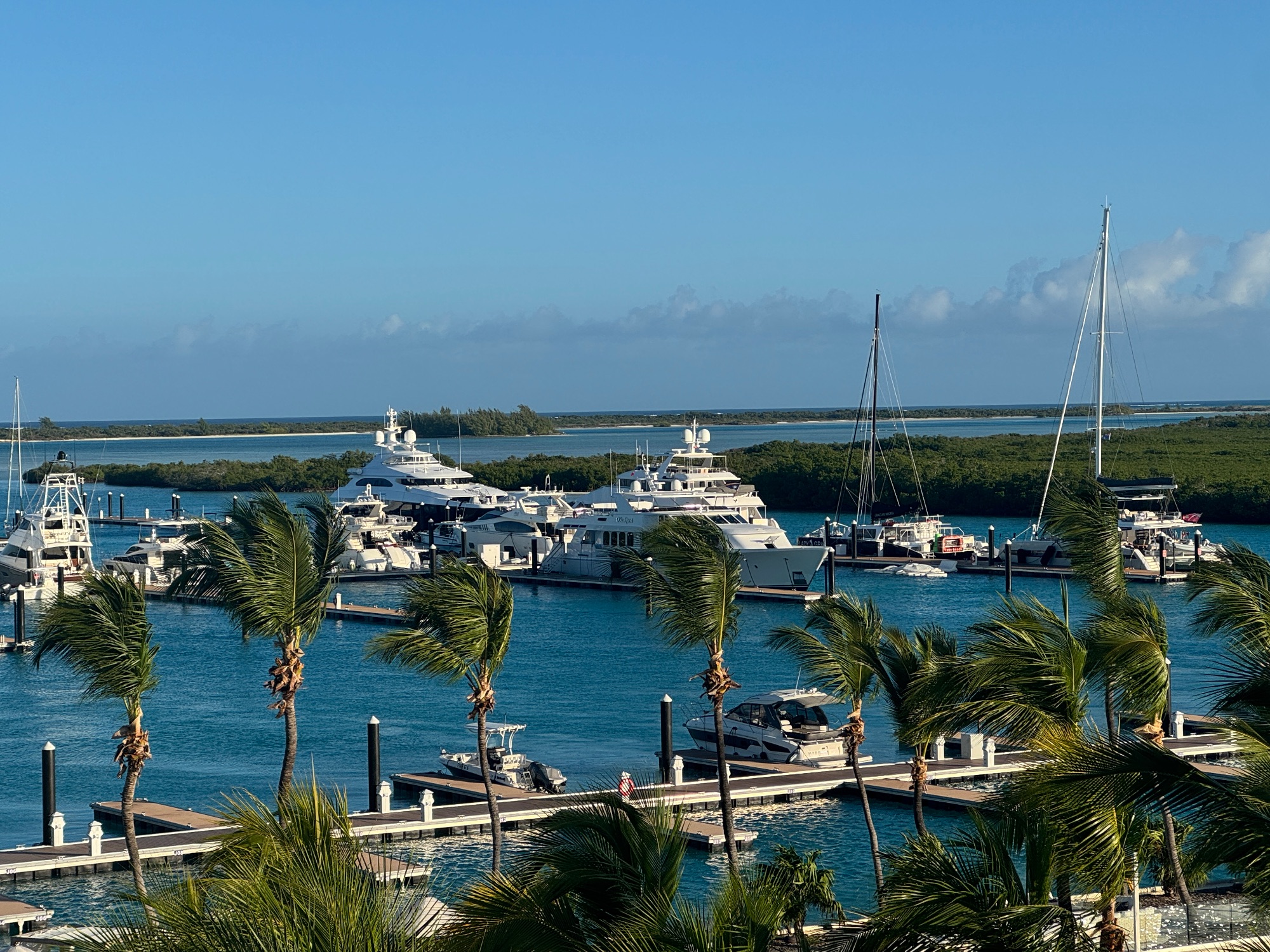 Marina filled with luxury yachts and sailboats moored at docks with palm trees and mangrove forests in the background