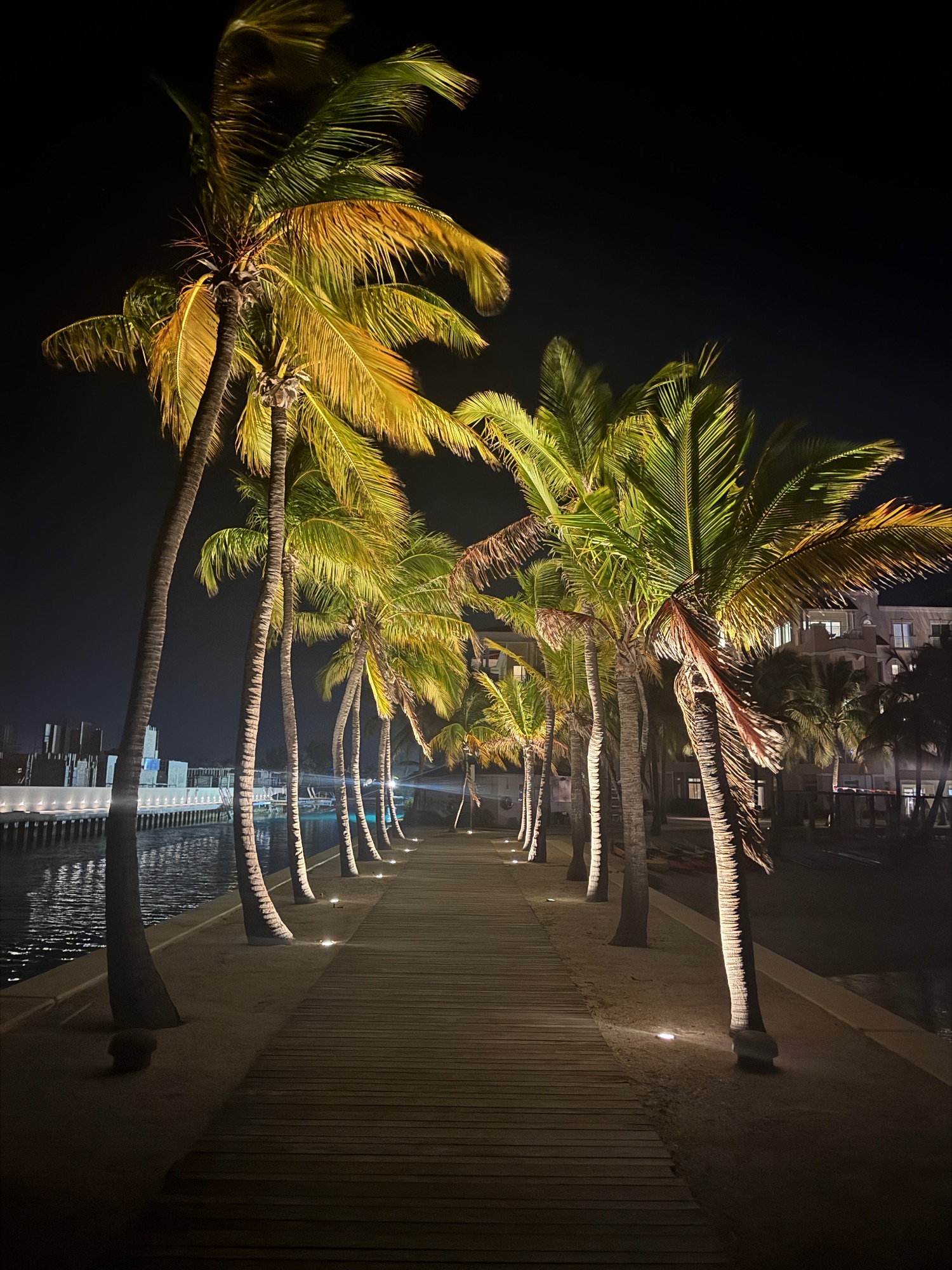 Illuminated wooden boardwalk lined with palm trees at night, leading toward waterfront buildings and calm water