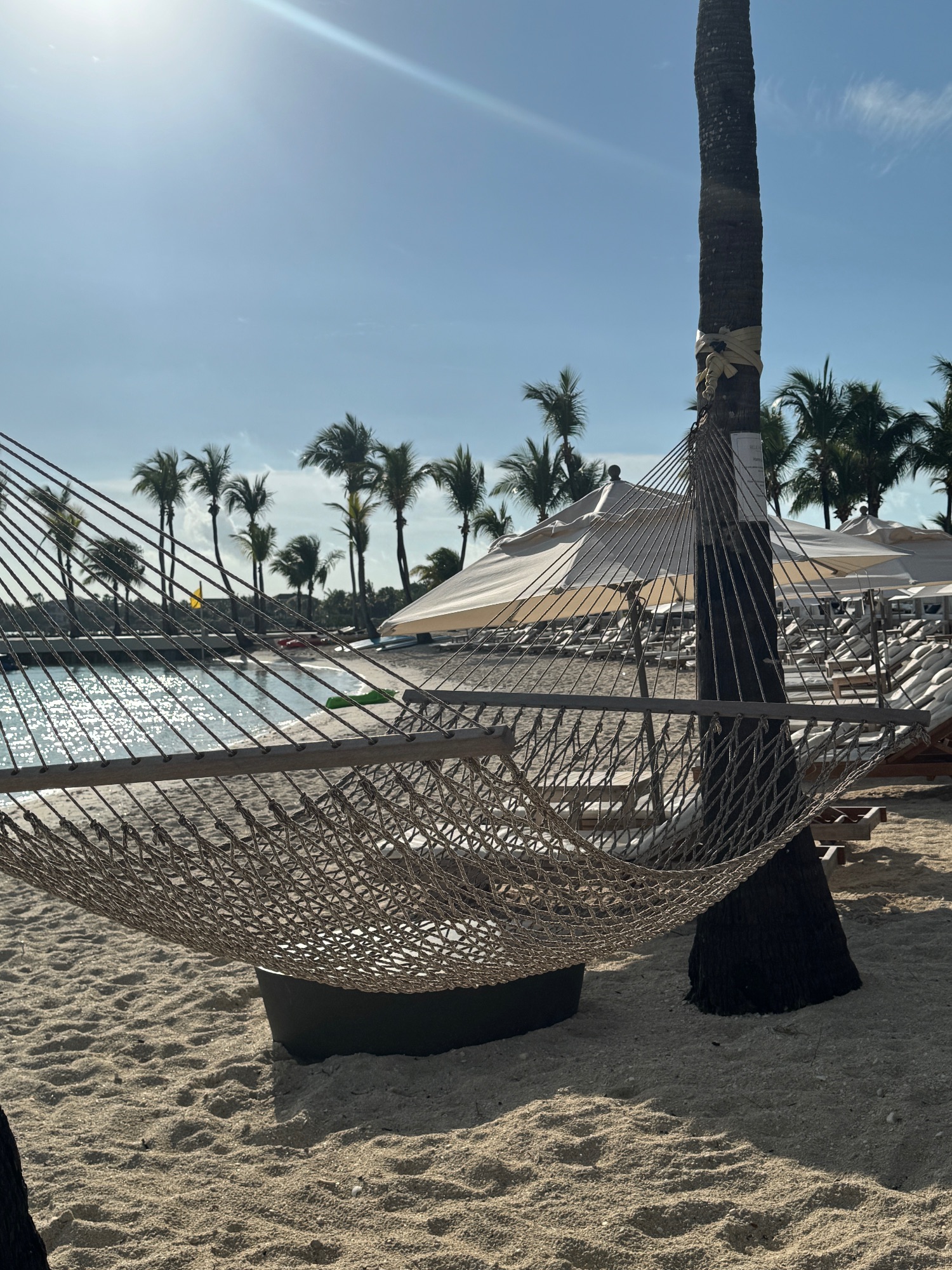 Beachfront pool area with white umbrellas, lounge chairs, and palm trees under blue sky