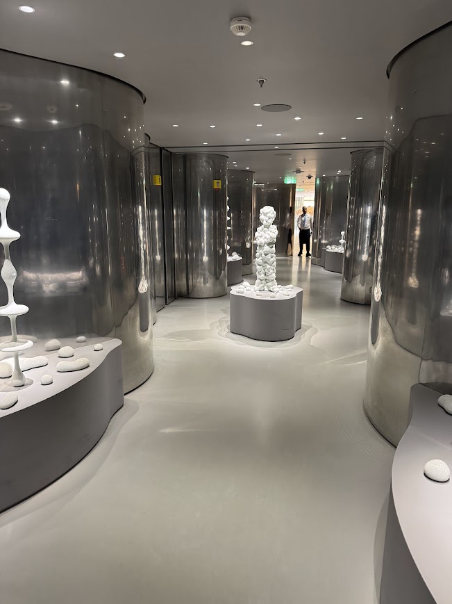 Modern museum gallery with curved glass display cases and minimalist white flooring and lighting