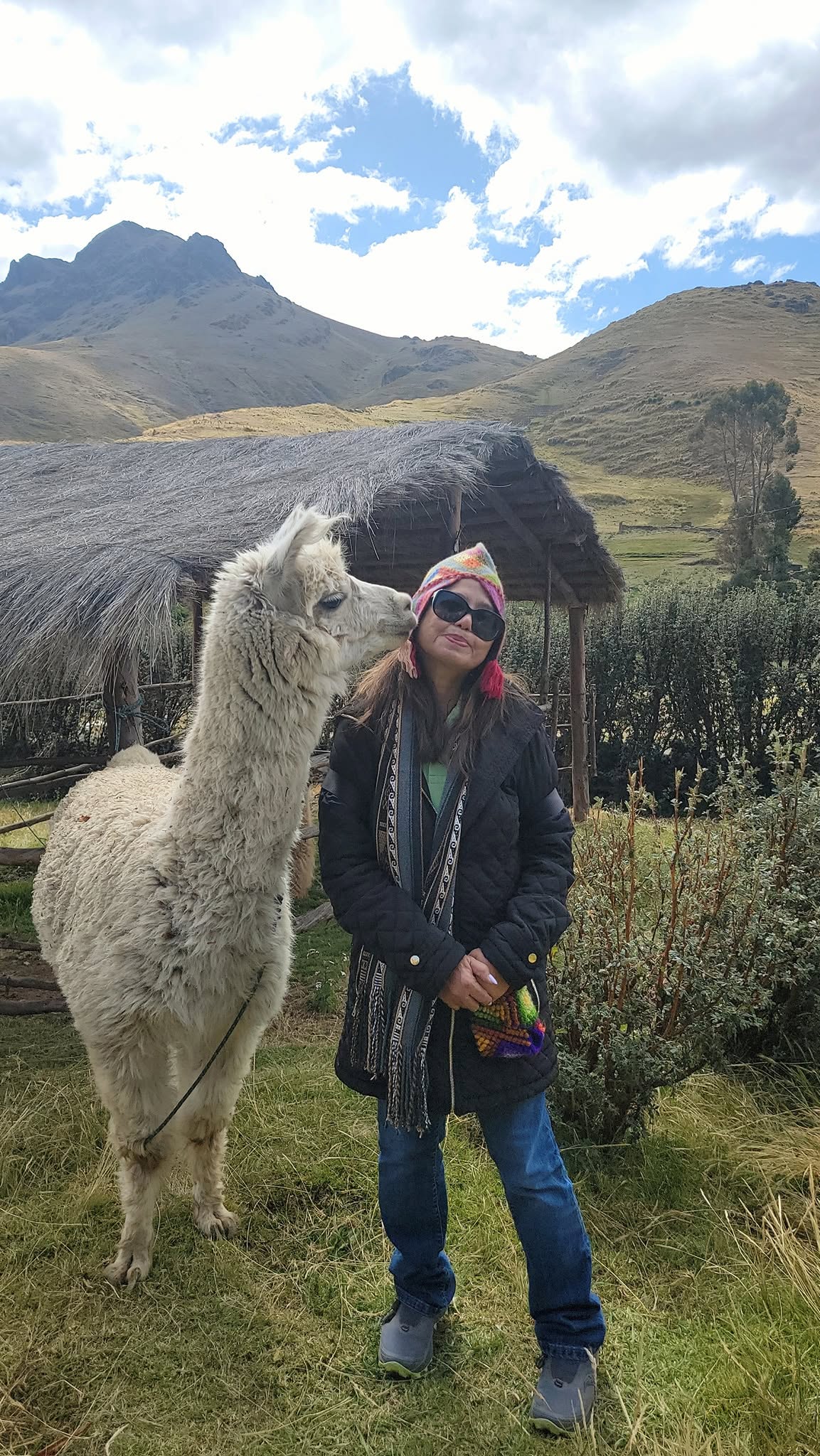 Woman posing with a white llama in an Andean mountain landscape with peaks and grassland visible