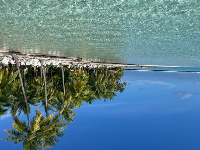 Crystal-clear turquoise water lapping a white sand beach lined with coconut palms