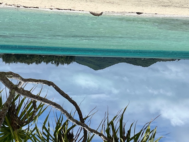 Tall coconut palms casting shadows on white sand beach with turquoise lagoon beyond