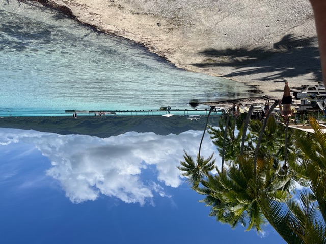 Fallen palm tree trunk on white sand with swimmers and boats in turquoise lagoon