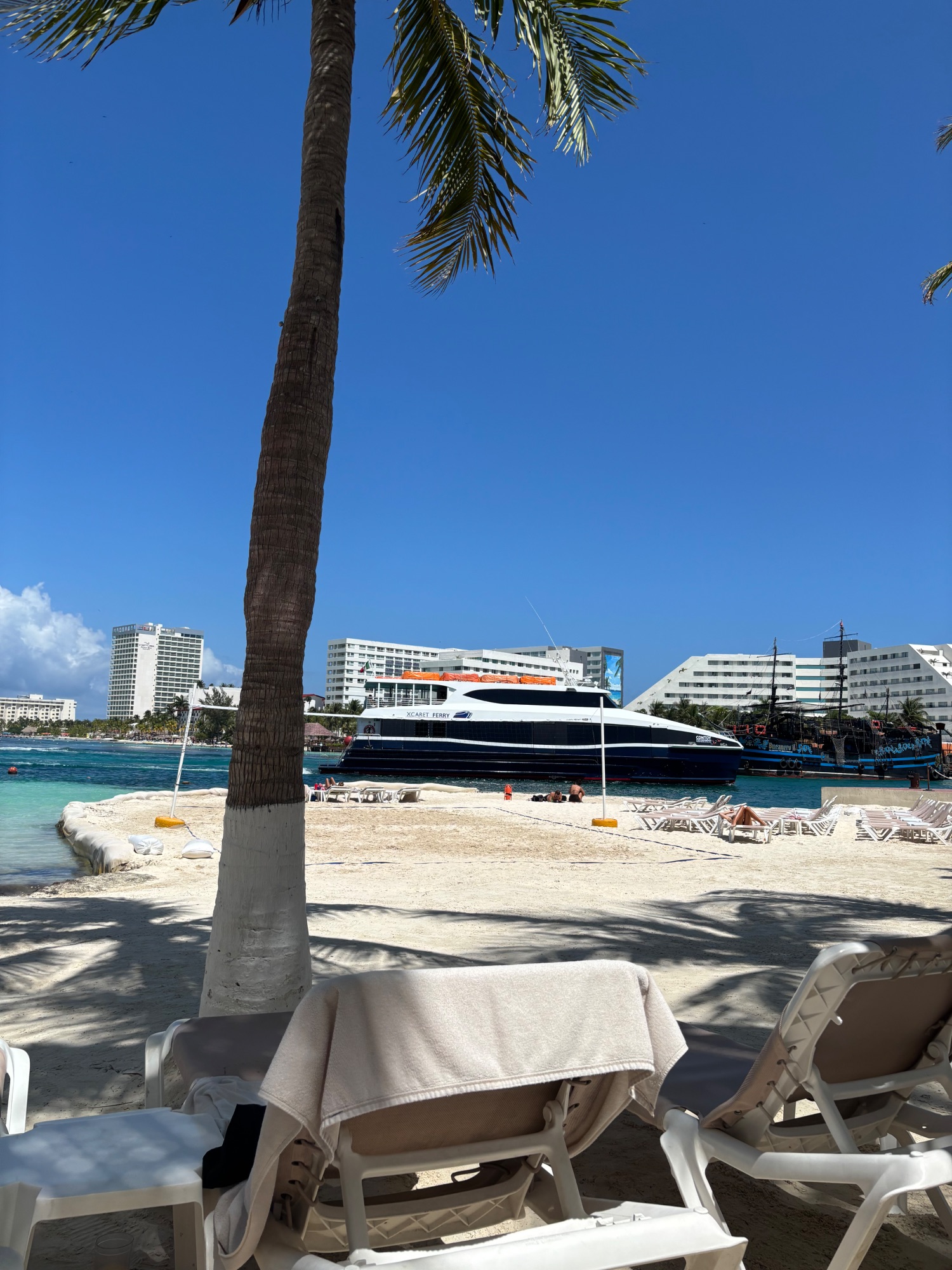 Beach scene with palm tree, lounge chairs, turquoise water, and a docked catamaran near resort buildings