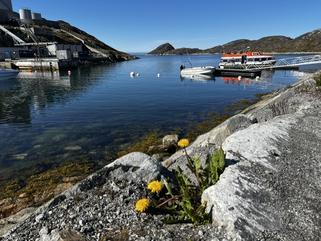 Denmark — Theresa Bobrowsky's travel story