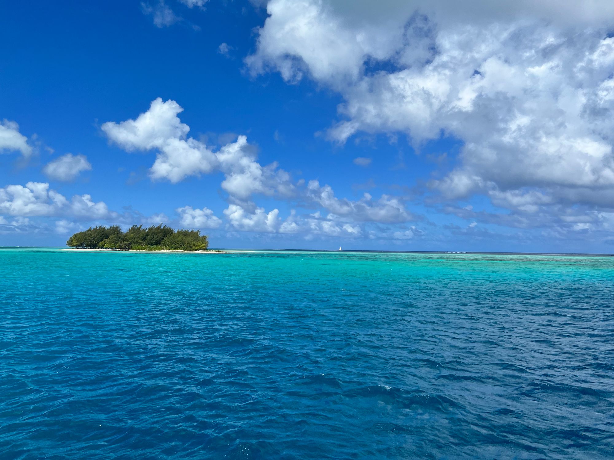 Aerial view of a small forested island surrounded by bright turquoise shallow water and deeper blue ocean