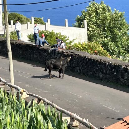 Portugal — Misti Garcia's travel story