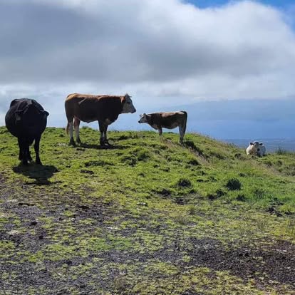 Portugal — Misti Garcia's travel story
