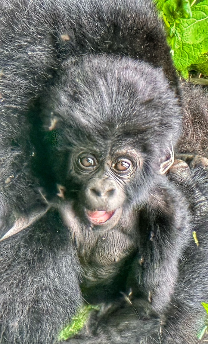 East Africa — Shari Lukens's travel story