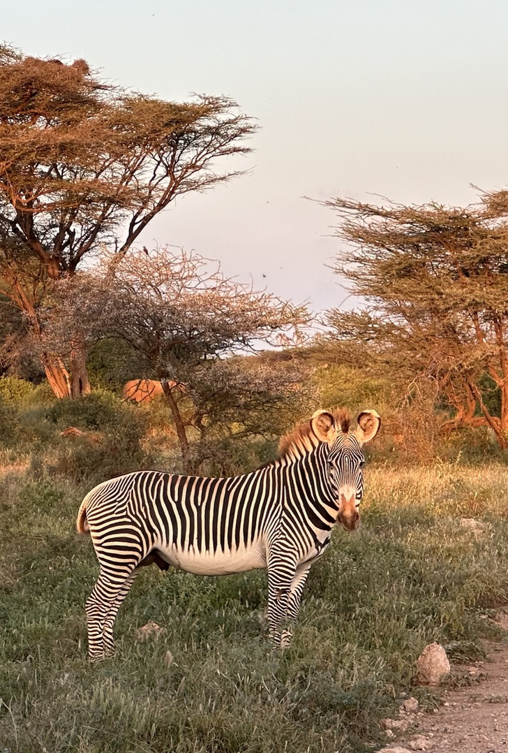 East Africa — Shari Lukens's travel story