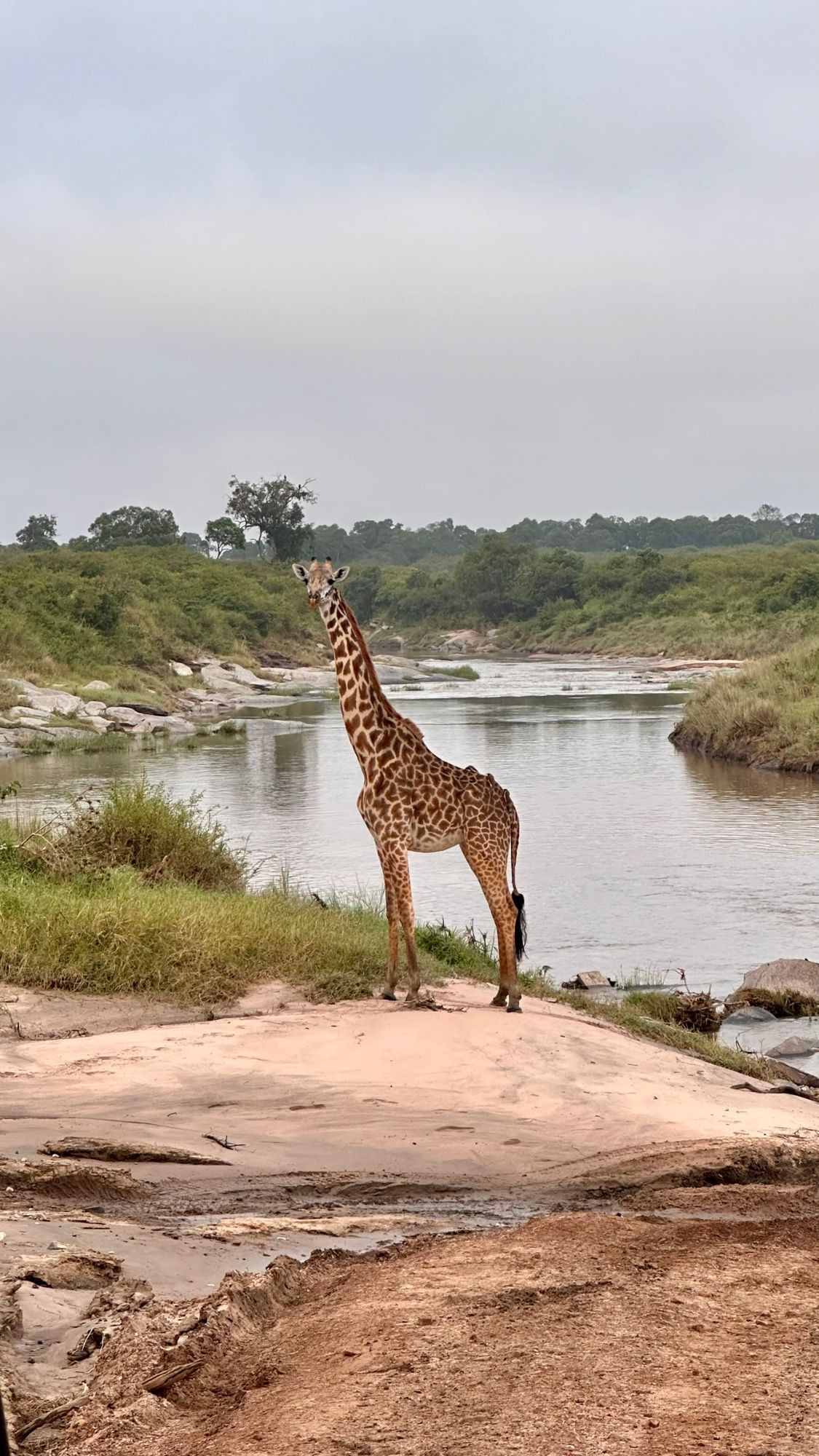 East Africa — Shari Lukens's travel story