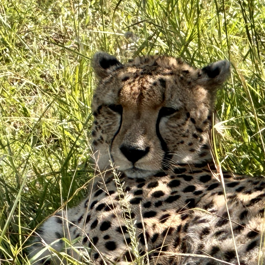 East Africa — Shari Lukens's travel story