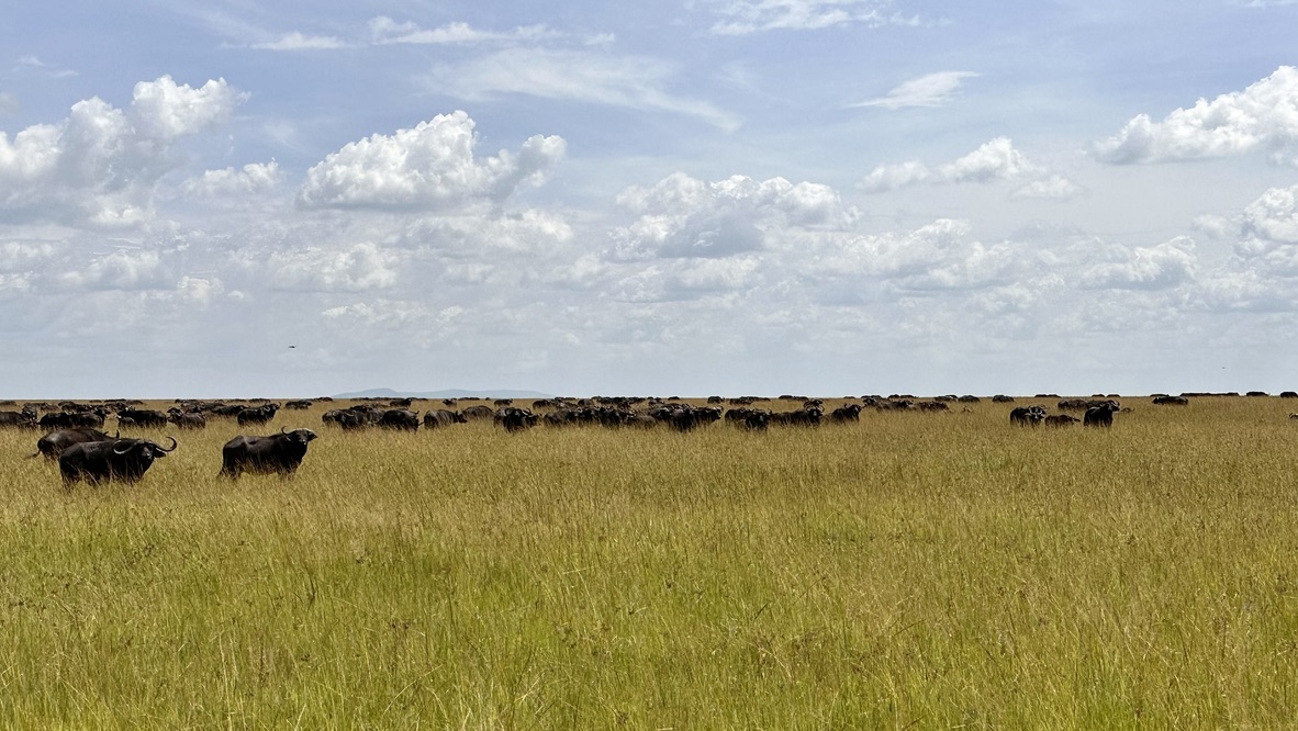 East Africa — Shari Lukens's travel story