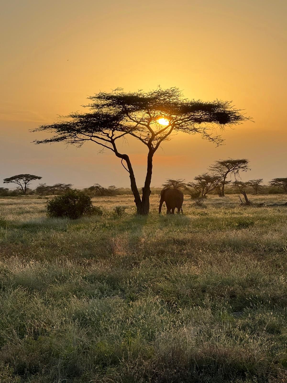 East Africa — Shari Lukens's travel story