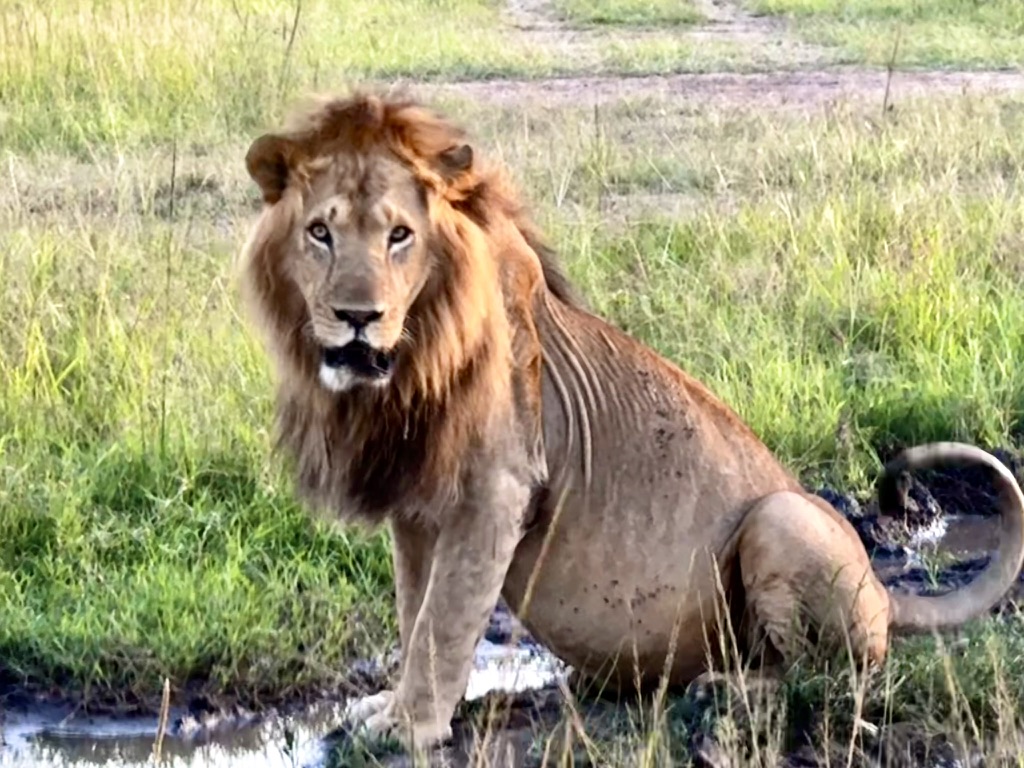 East Africa — Shari Lukens's travel story