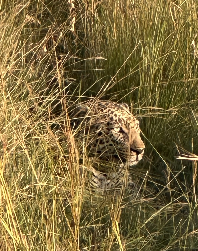 East Africa — Shari Lukens's travel story