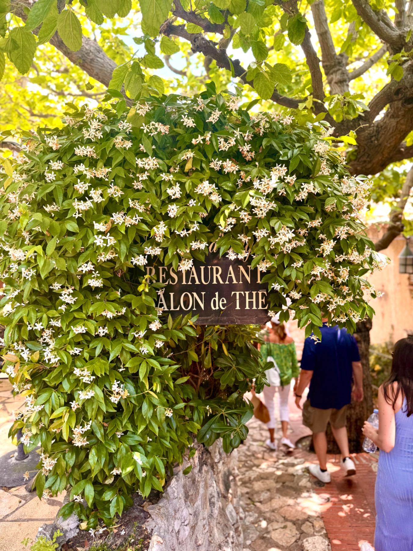 Jasmine-covered restaurant sign reading 'Alon de The' with white flowering vines on stone wall in village alley
