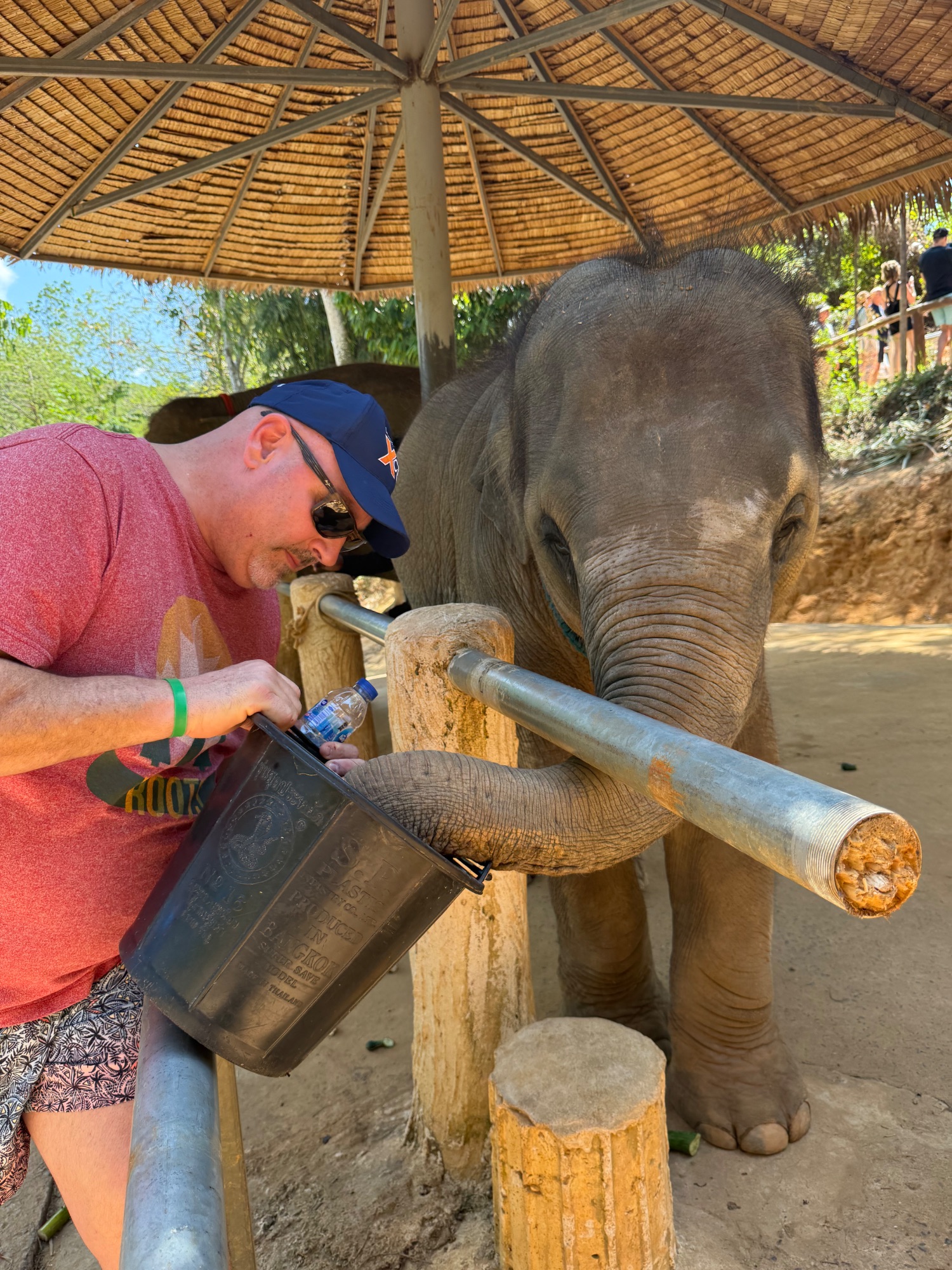 Man in red shirt hand-feeding a young elephant with a bottle at a Thai elephant care facility