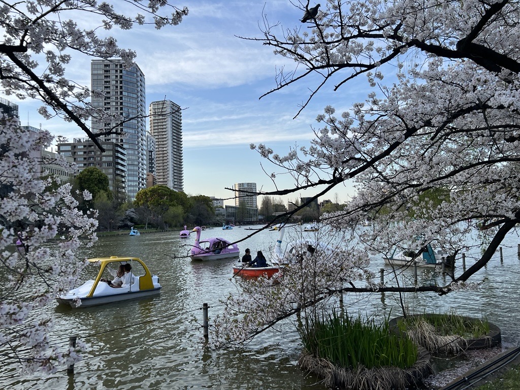 Japan — Sam Wallbridge's travel story