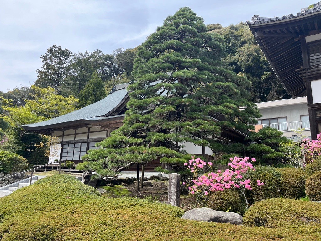 Japan — Sam Wallbridge's travel story