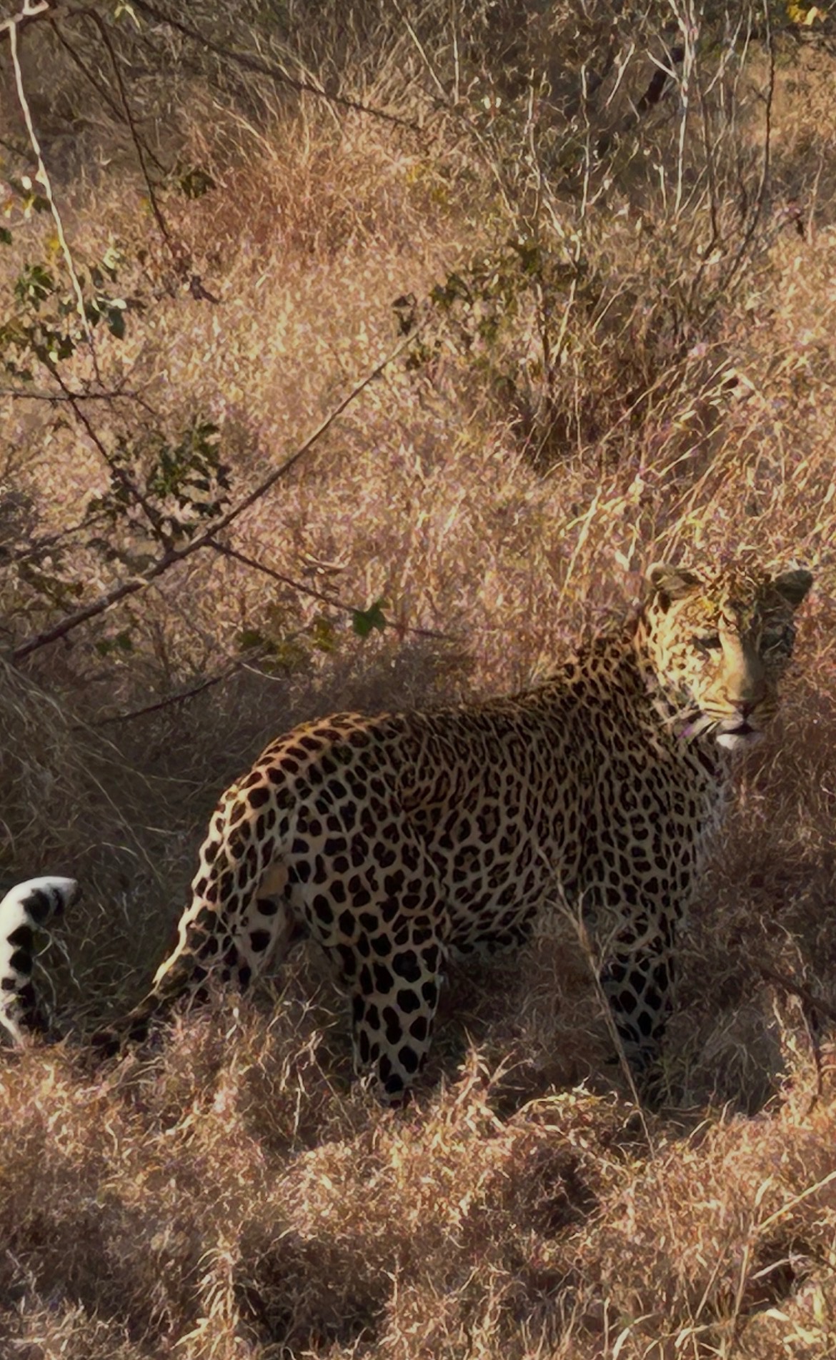 South Africa travel story