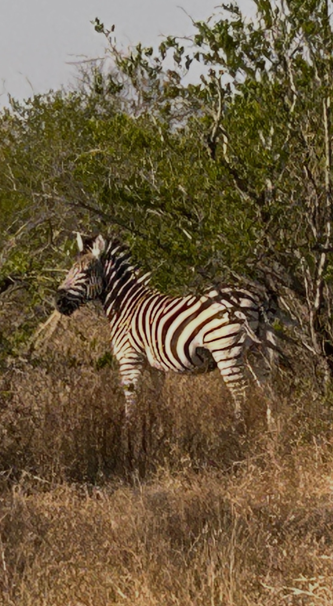 South Africa travel story